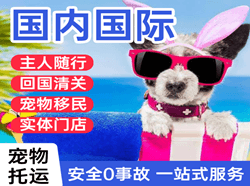 黄山屯溪航空空运国际宠物托运 【国